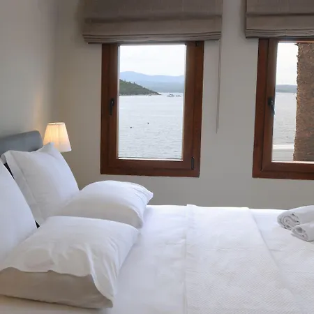 게스트하우스 Teos