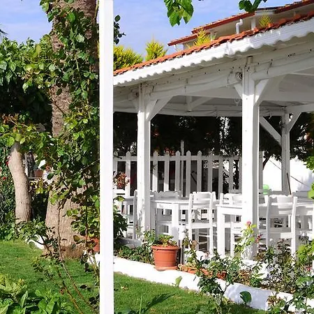 Teos Siğacık