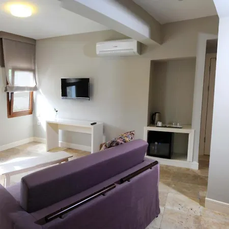 بيت ضيافة Teos