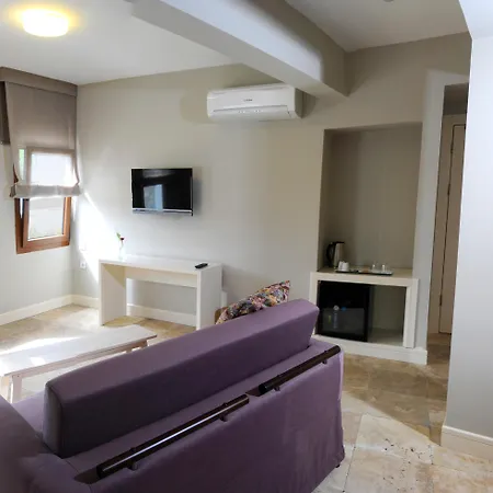 Guest house Teos