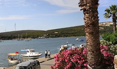 بيت ضيافة Teos